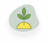 Keine Vorkenntnisse erforderlich